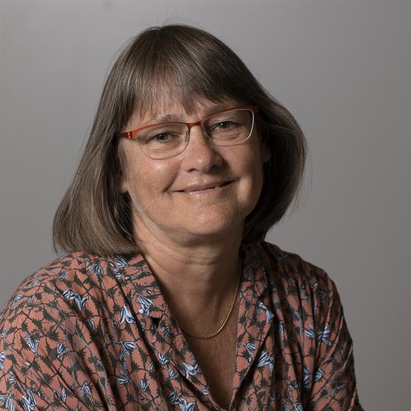 Alette Zandbergen - Hanewald, Wethouder De Lokale Partij