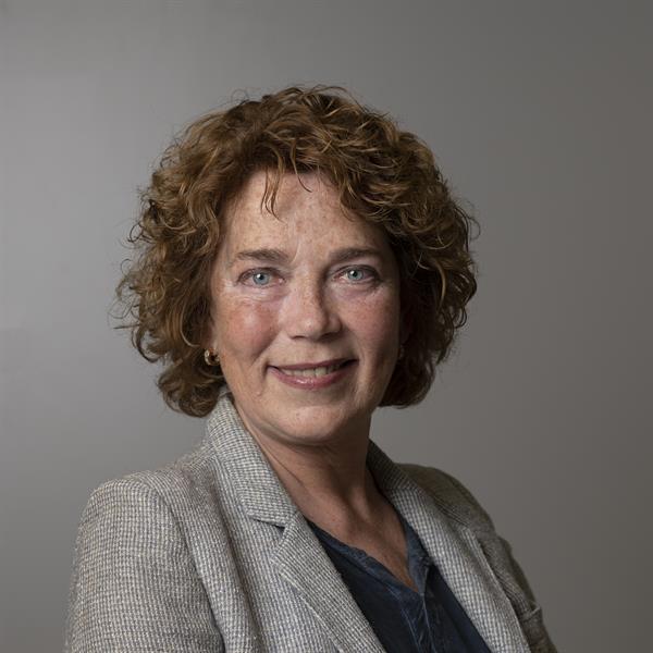 Stan Poels, Wethouder PvdA/GroenLinks