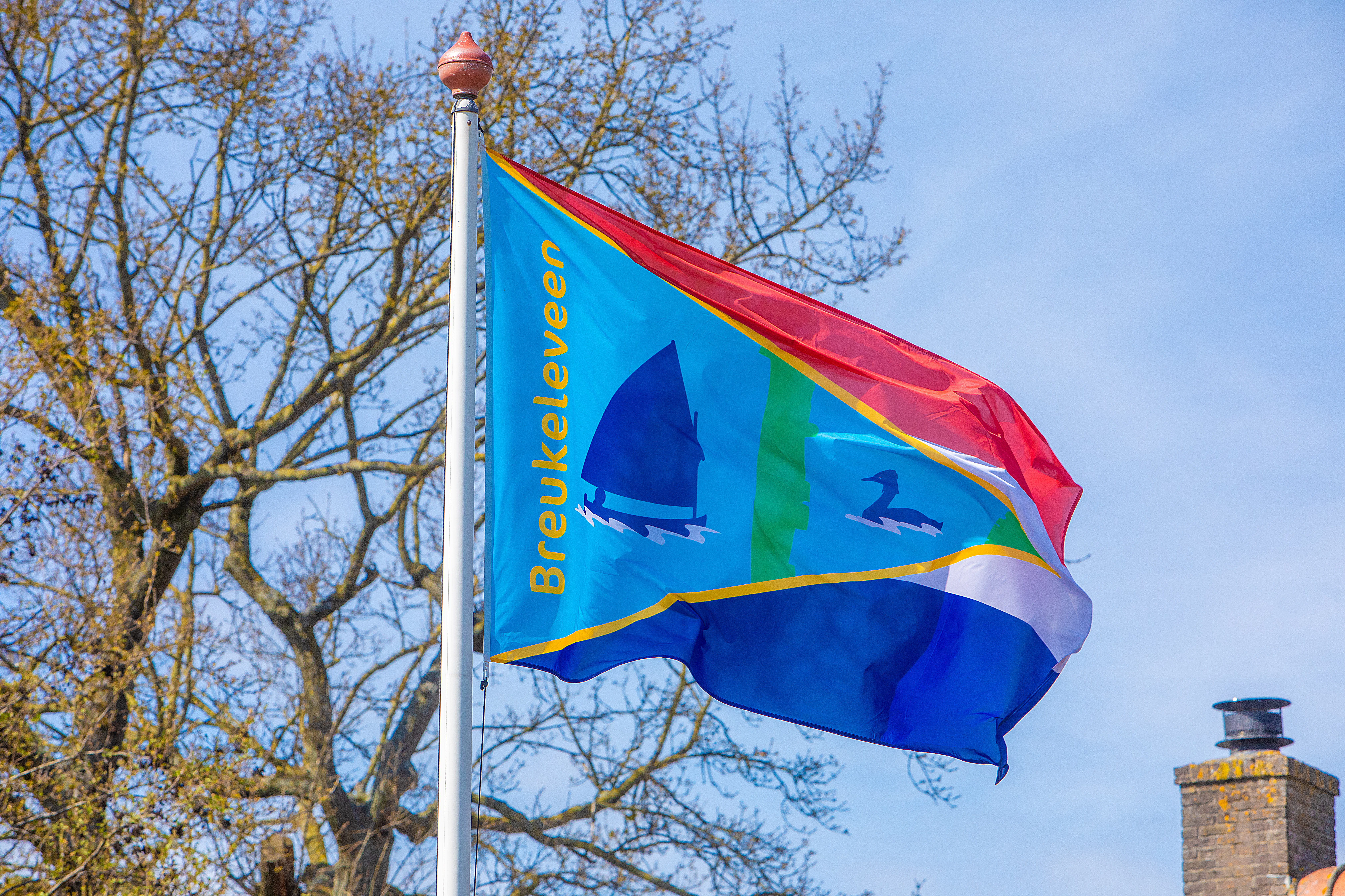 Vlag van Breukeleveen ontworpen door Frits. De vlag heeft verschillende blauwe vakken en strepen.