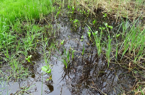 afbeelding "i_NL.IMRO.1696.BP9300Mlnnd232020-on00_0023.png"